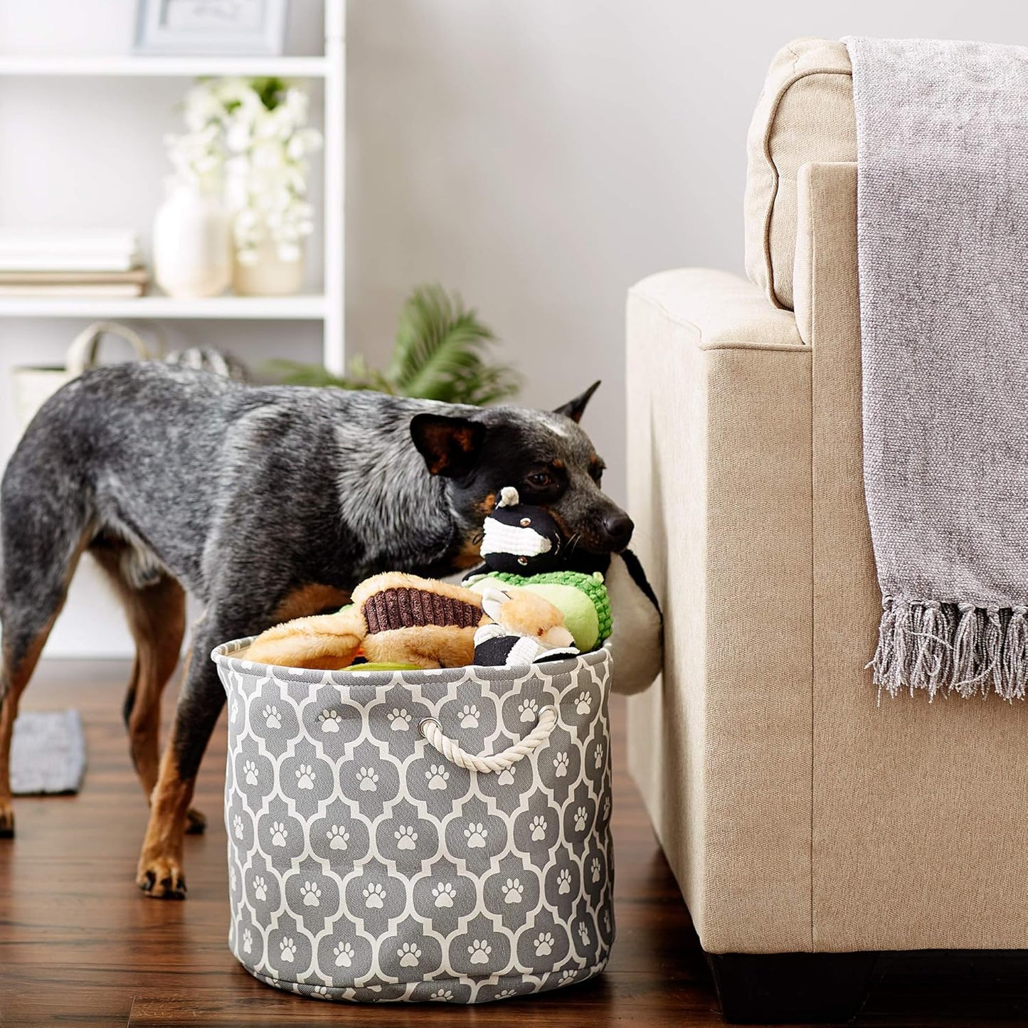 DII Bone Dry RoundSmall Pet Toy and Accessory Storage Bin, 12"(Dia) x9(H), Collapsible Organizer Storage Basket for Home Decor, Pet Toy, Blankets, Leashes and Food-Gray Stripes