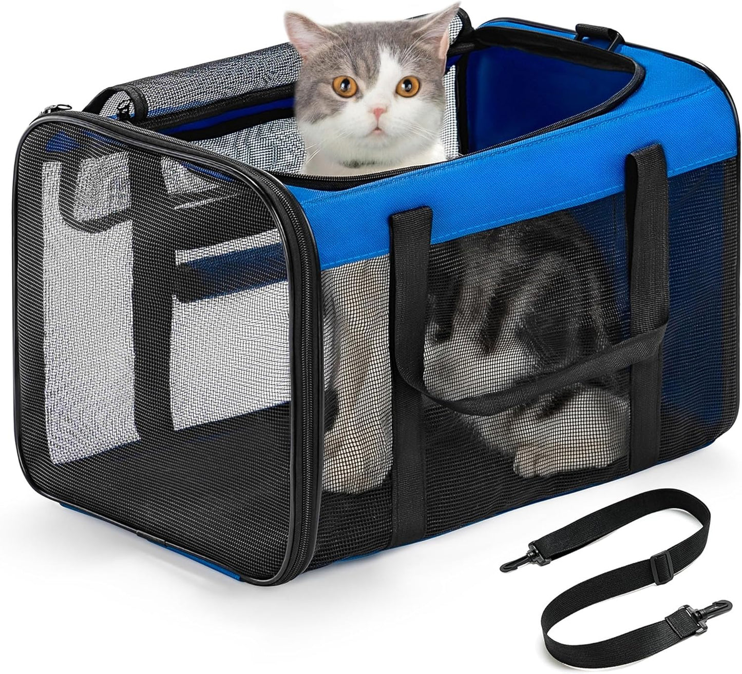 Conlun Cat Carrier Bag,Soft-Sided Pet Carriers for Dogs with 4-Sided Mesh,Airline Approved Cat Transport Carrier for Small&Medium Cats Kitten Puppy Up to 6Kg,Collapsible Cat Travel Carrier-M,Black