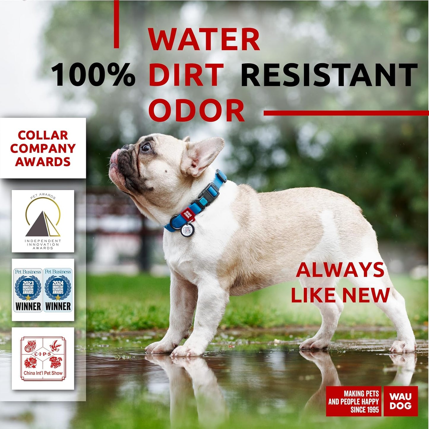 Waterproof Dog Collar - Adjustable Glow Dog Collar for Large Dogs, Small and Medium Dogs - Heavy Duty Dog Collars with Durable Metal Clasp and QR Dog Tag - Glow in The Dark Dog Collars