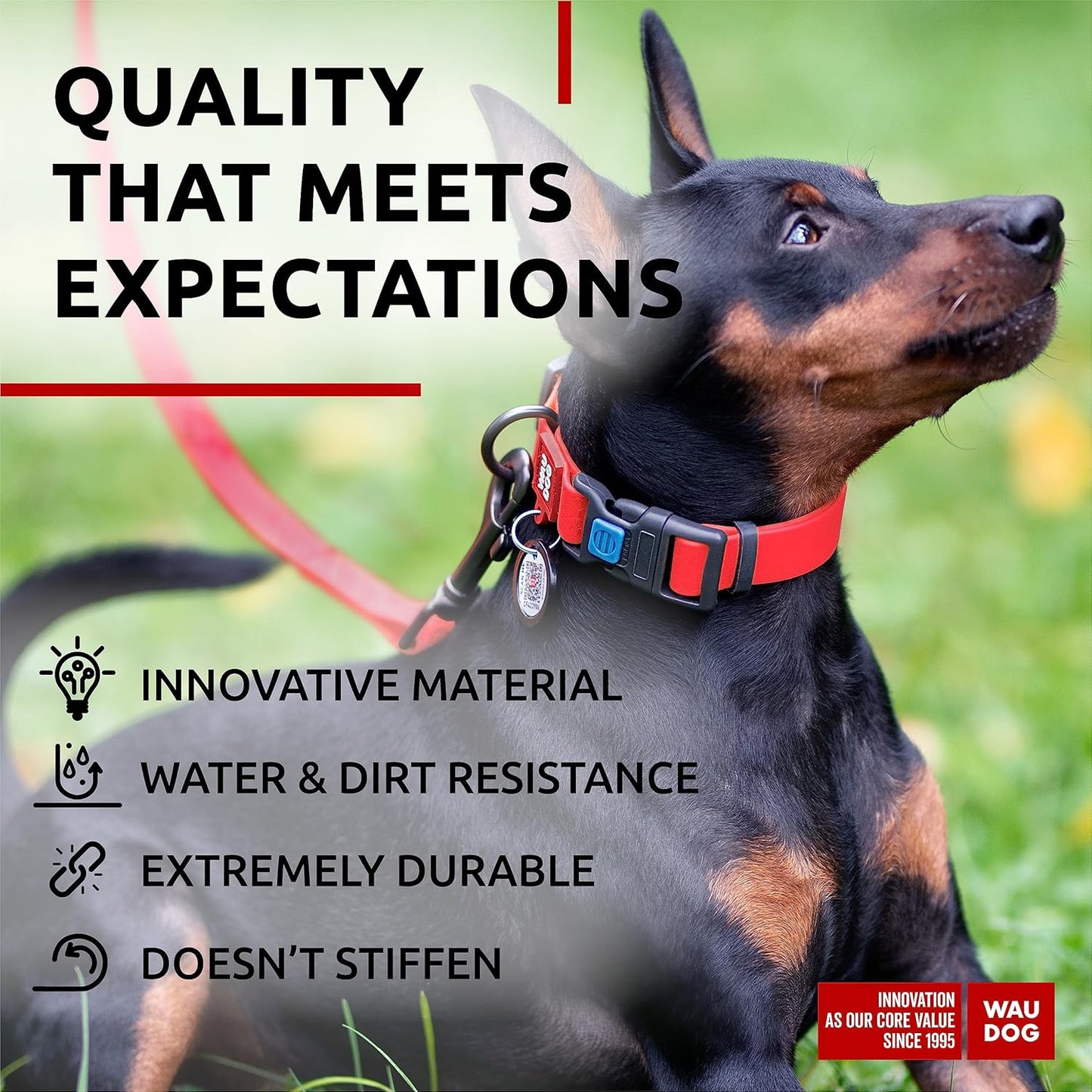 Waterproof Dog Collar - Adjustable Glow Dog Collar for Large Dogs, Small and Medium Dogs - Heavy Duty Dog Collars with Durable Metal Clasp and QR Dog Tag - Glow in The Dark Dog Collars