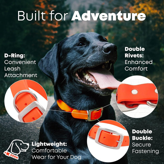 Regal Dog Products Medium Orange Dog Collar with Heavy Duty Double Buckle & D Ring | Vinyl Coated, Custom Fit, Adjustable Biothane Dog Collar Chew Resistant Waterproof Center-Ring Collar for Dogs - PuriLite