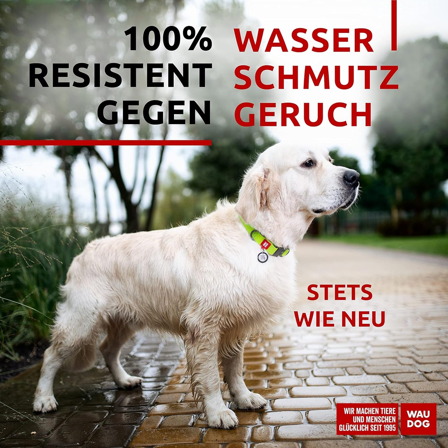 Waterproof Dog Collar - Adjustable Glow Dog Collar for Large Dogs, Small and Medium Dogs - Heavy Duty Dog Collars with Durable Metal Clasp and QR Dog Tag - Glow in The Dark Dog Collars