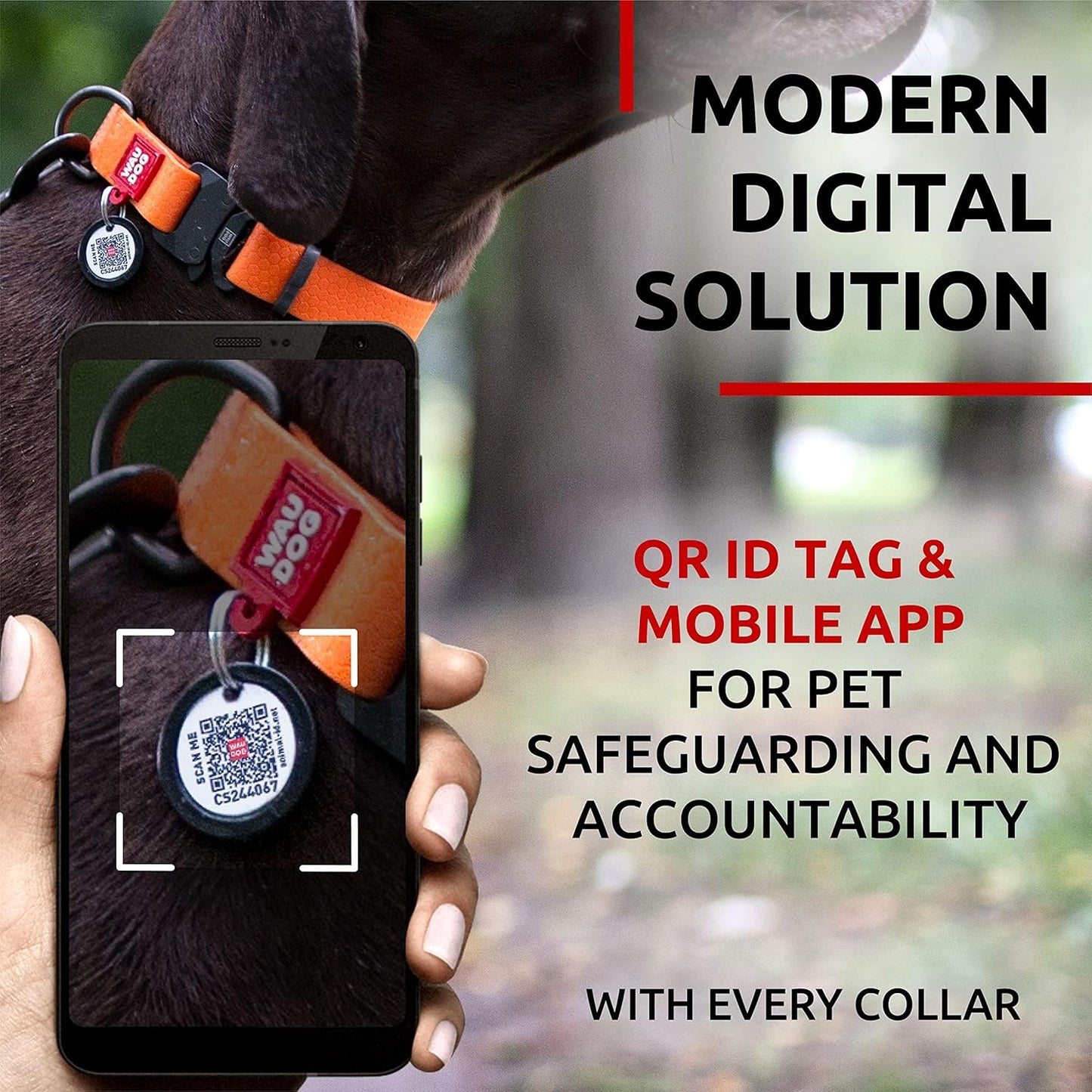 Waterproof Dog Collar - Adjustable Glow Dog Collar for Large Dogs, Small and Medium Dogs - Heavy Duty Dog Collars with Durable Metal Clasp and QR Dog Tag - Glow in The Dark Dog Collars