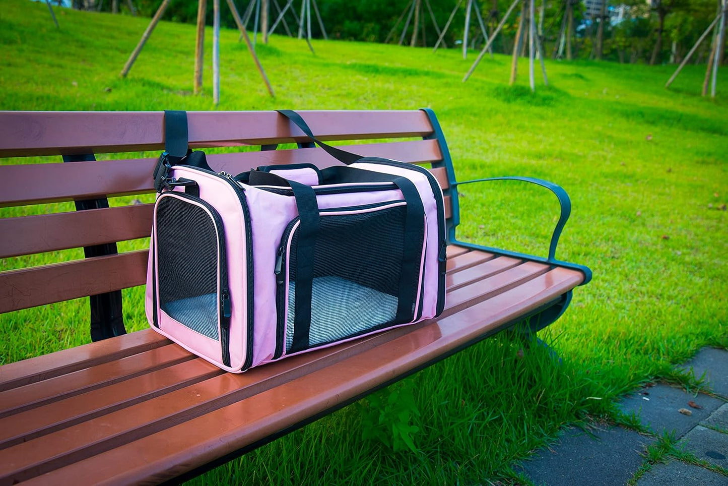 NextFri Soft Sided Carrier for Cats Dogs,TSA Airline Approved Collapsible Travel Pet Carrier (Magenta, Medium)