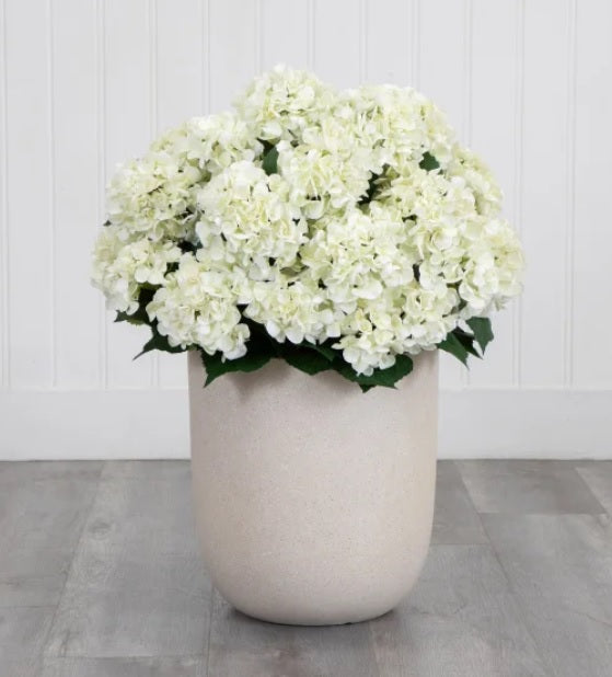 Faux Hydrangea Floor Plant 88.9 cm (35 in.)