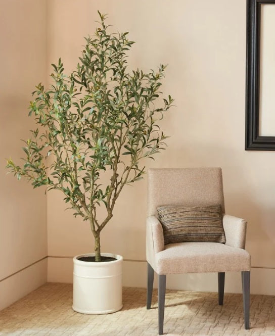 Faux Olive Tree 1.9 m (6.5 ft.) - PuriLite