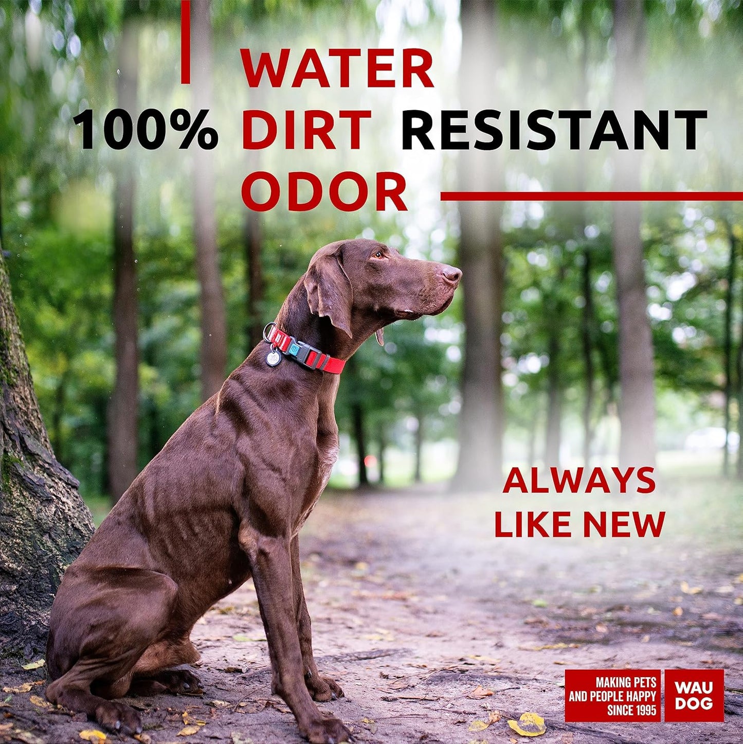 Waterproof Dog Collar - Adjustable Glow Dog Collar for Large Dogs, Small and Medium Dogs - Heavy Duty Dog Collars with Durable Metal Clasp and QR Dog Tag - Glow in The Dark Dog Collars