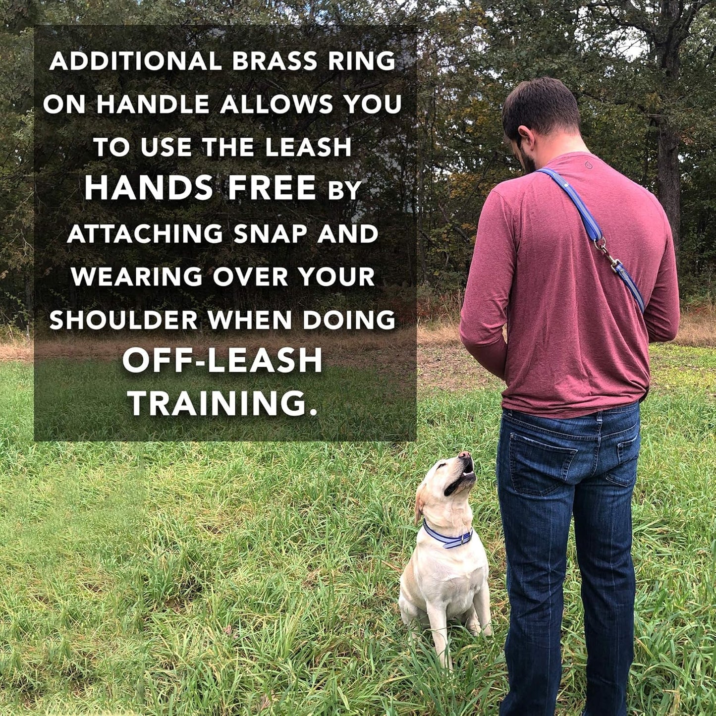 Regal Dog Products Large Pink Heavy Duty Reflective Dog Collar with Center Ring, Metal Buckle and D Ring | Anti-Odor Adjustable Biothane Waterproof Dog Collar | Other Sizes for Small & Medium Dogs