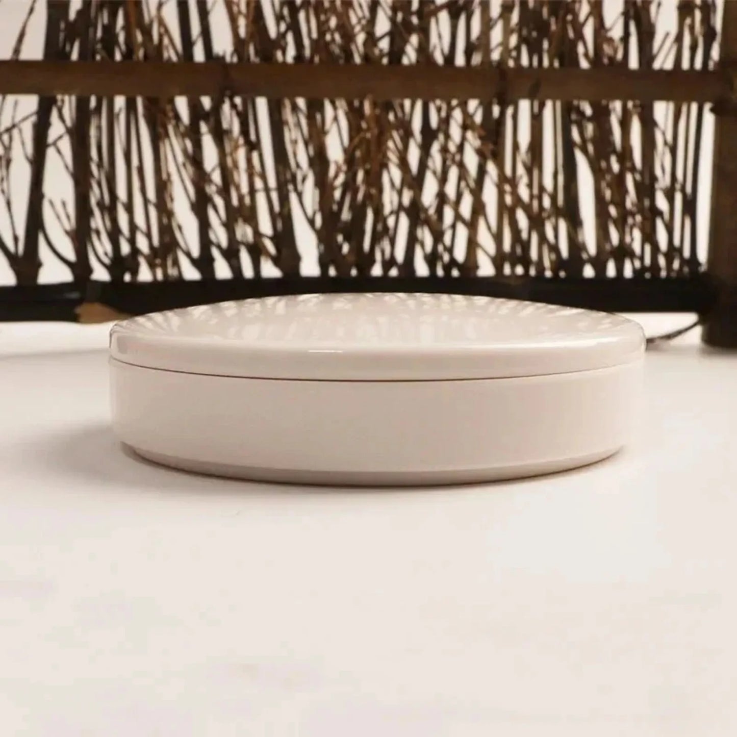 Purilite Select Imitation Porcelain Round Paint Palette with Lid