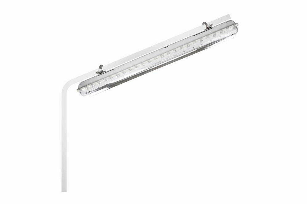72W Emergency Fluorescent Light - 4' 2 Lamp - Battery Backup - ATEX/IECEx - Steel Pole Mount