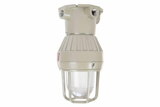 Class I, Div. I, 100 Watt Incandescent Light - Vapor Proof - Fixed Mount - 12/24 Volts