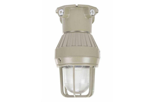 Class I, Div. I, 60 Watt Incandescent Light - Vapor Proof - Fixed Mount - 120 Volts