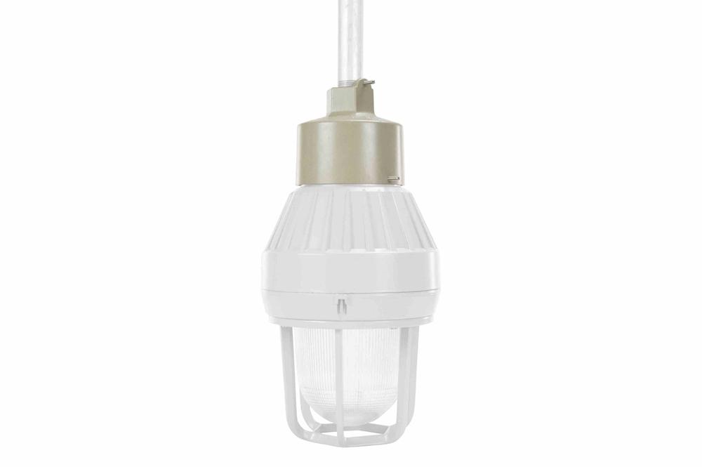 Pendant Mount Kit for EPL-HHB-100W-LED Series of LED Explosion Proof Strobe Lights