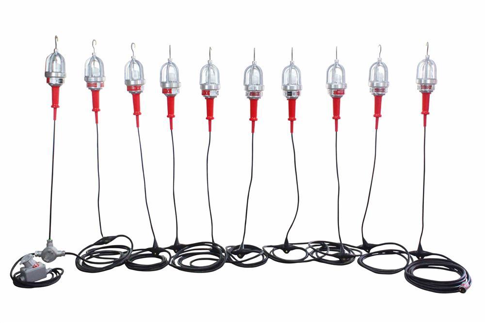 Explosion Proof LED String Lights - 10 lights - Daisy Chain End-2-End Connection - 100ft Stringer