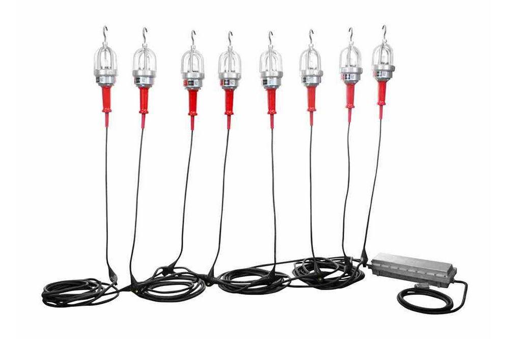 80W Explosion Proof LED String Lights - 8 lights - 120/277 to 12V DC - C1D1 and C2D1 - Inline Step D