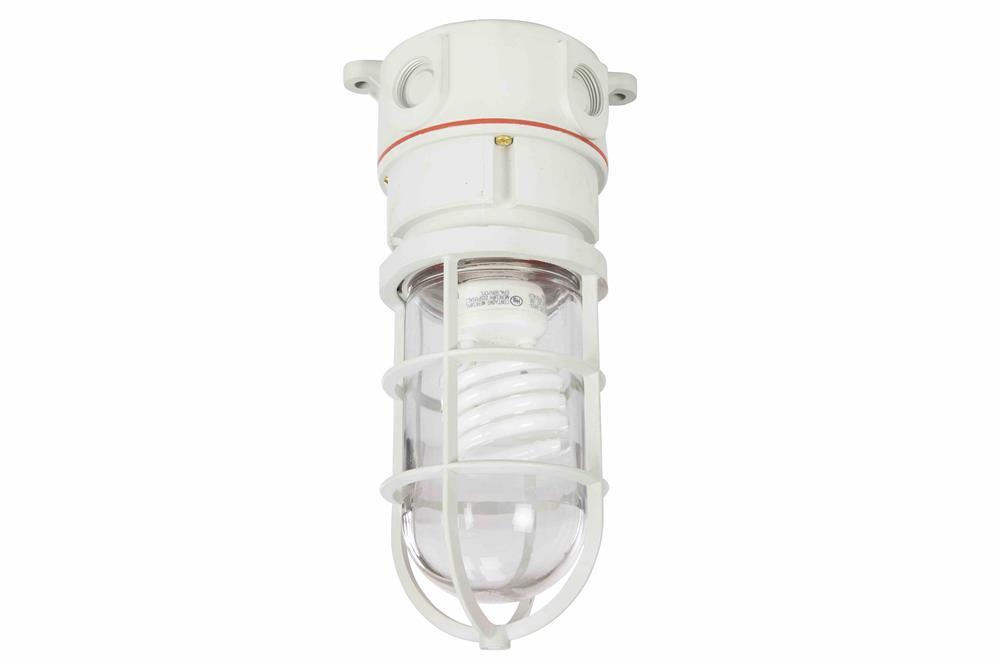 Class 1, Division 2 Non-Metallic Corrosion Resistant Light - 42 Watt Compact Fluorescent