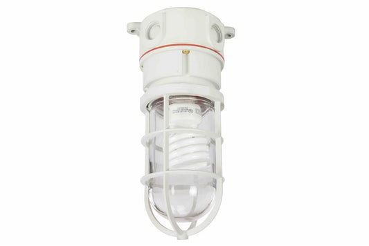 Class 1, Division 2 Non-Metallic Corrosion Resistant Light - 42 Watt Compact Fluorescent
