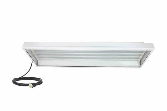 Hazardous Area LED Light -C1D2/C2D2 Groups F,G - (4) 4' LED Lamps - 6' 16/3 SOOW Cord w/ Cord Cap
