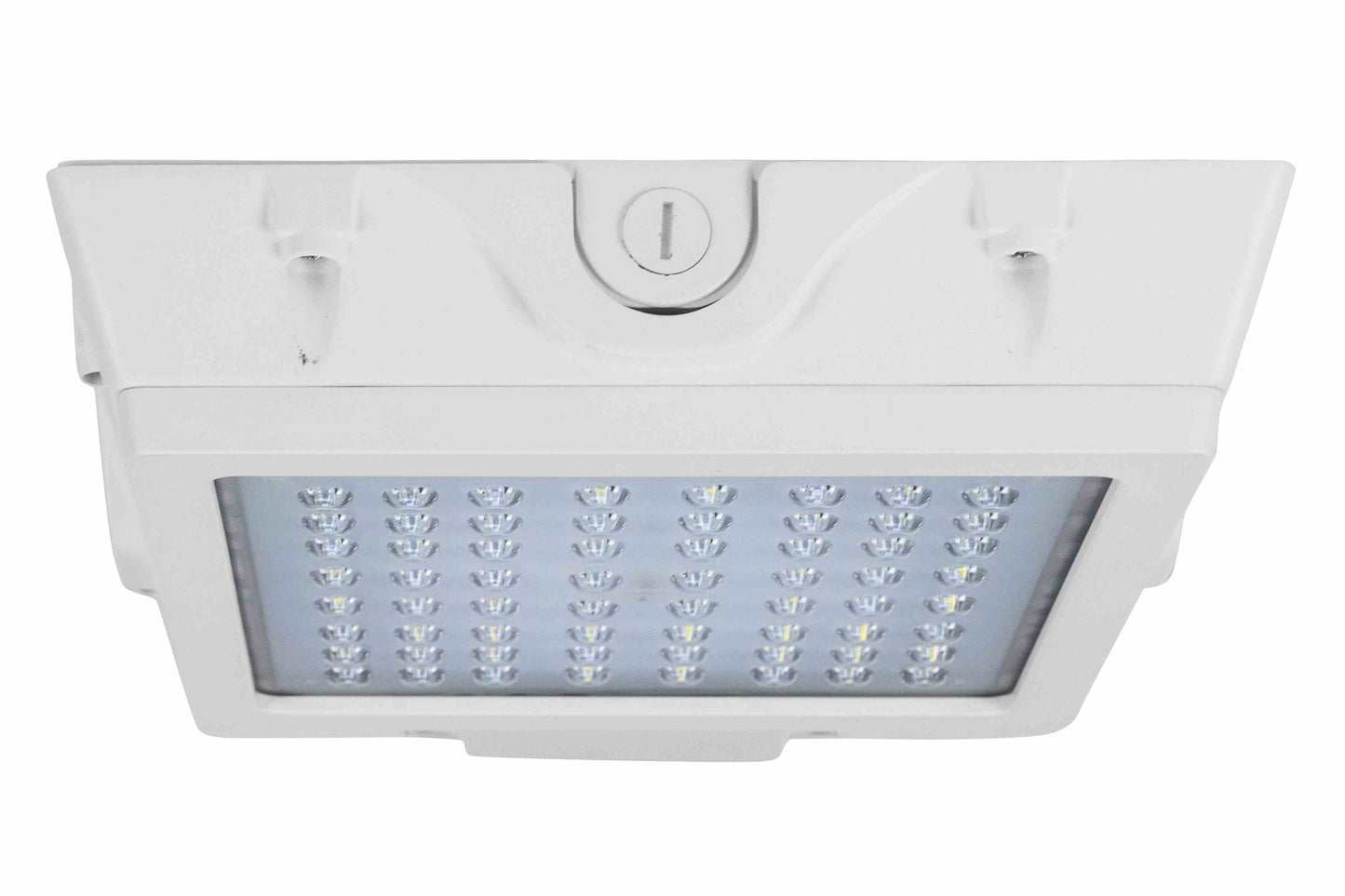 Larson 55 Watt Low Profile LED Canopy Light - Replaces 250 Watt MH Fixtures - 120-277V AC - IP65 Rated