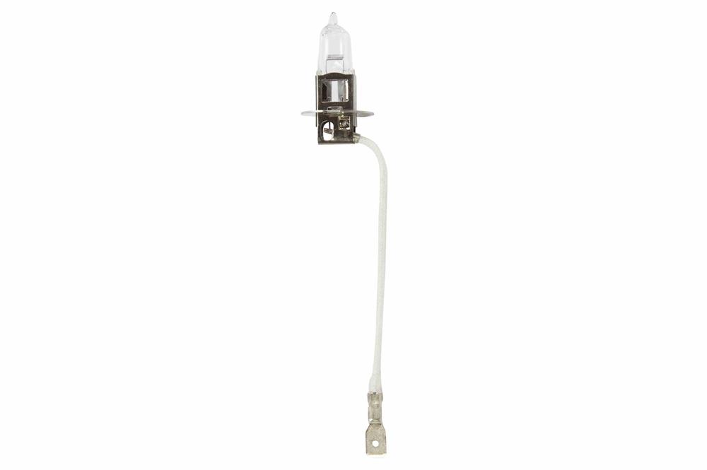 Replacement 12 Volt Bulb for Post Mount and Roof Mount Lights