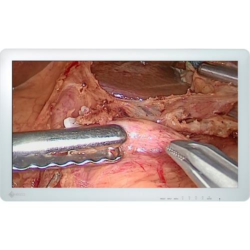 EIZO CuratOR EX2620 26" Full HD LED LCD Monitor - 16:9 - White - 1920 x 1080 - 1.07 Billion Colors - 700 cd/m‚² Typical - 18 ms - DVI - VGA