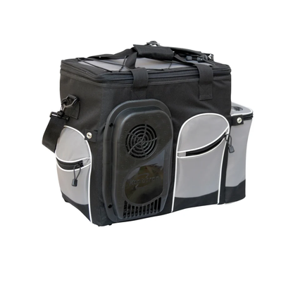 Koolatron D25 Soft Bag 24.5 L (26 qt) 12V Electric Cooler with AC Adapter