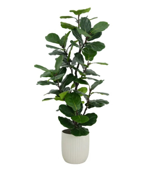 Faux 1.9 m (6.5 ft.) Slim Fig Tree