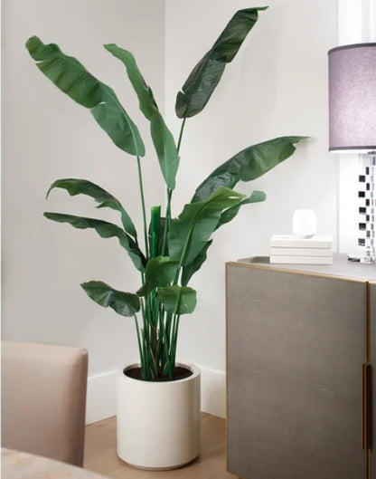 Faux Banana Leaf Tree 2 m (6.5 ft.)