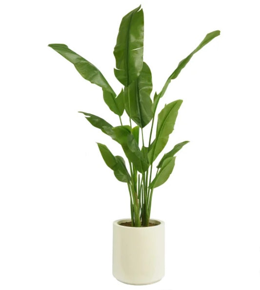 Faux Banana Leaf Tree 2 m (6.5 ft.)