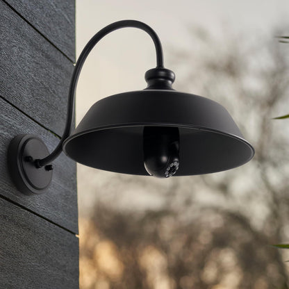 Dusk to Dawn Farmhouse Outdoor Gooseneck Barn Wall Light with 14" Dome Matte Black