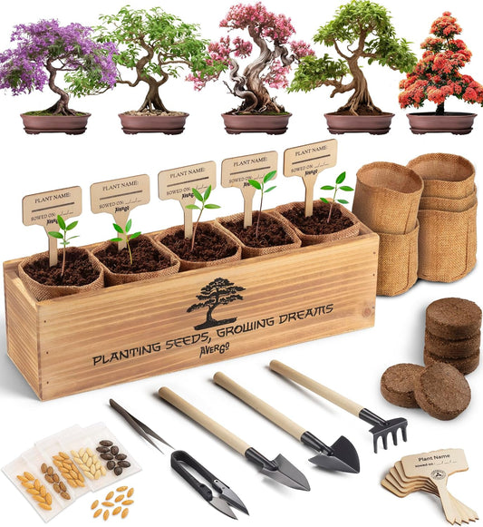 Avergo Bonsai Tree Kit – 5X Unique Japanese Bonzai Trees | Complete Indoor Bonsai Starter Kit for Growing Bonsai Plants with Tools & Planters – Gardening Gifts for Women & Men