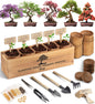 Avergo Bonsai Tree Kit – 5X Unique Japanese Bonzai Trees | Complete Indoor Bonsai Starter Kit for Growing Bonsai Plants with Tools & Planters – Gardening Gifts for Women & Men