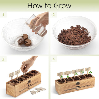 Avergo Bonsai Tree Kit – 5X Unique Japanese Bonzai Trees | Complete Indoor Bonsai Starter Kit for Growing Bonsai Plants with Tools & Planters – Gardening Gifts for Women & Men