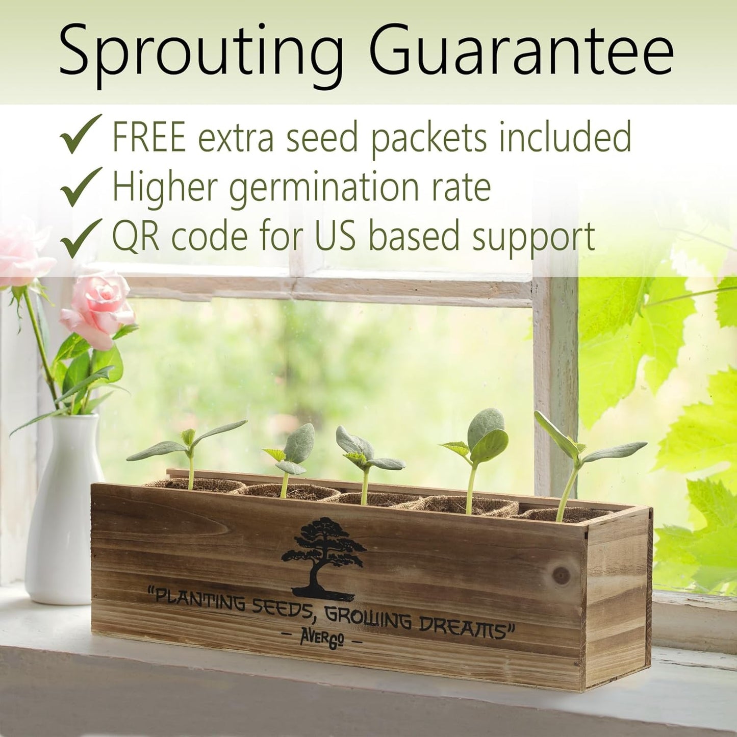 Avergo Bonsai Tree Kit – 5X Unique Japanese Bonzai Trees | Complete Indoor Bonsai Starter Kit for Growing Bonsai Plants with Tools & Planters – Gardening Gifts for Women & Men