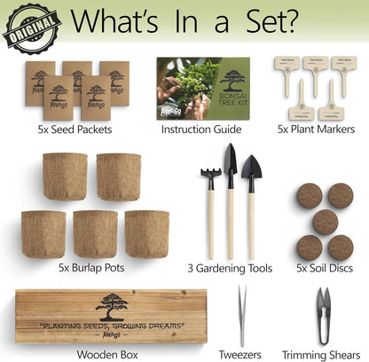 Avergo Bonsai Tree Kit – 5X Unique Japanese Bonzai Trees | Complete Indoor Bonsai Starter Kit for Growing Bonsai Plants with Tools & Planters – Gardening Gifts for Women & Men