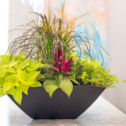 Evolve Square Bowl Planter 24-Inch 2-Pack with Drip Trays