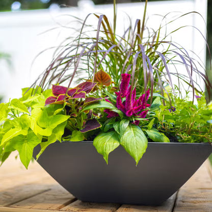 Evolve Square Bowl Planter 24-Inch 2-Pack with Drip Trays