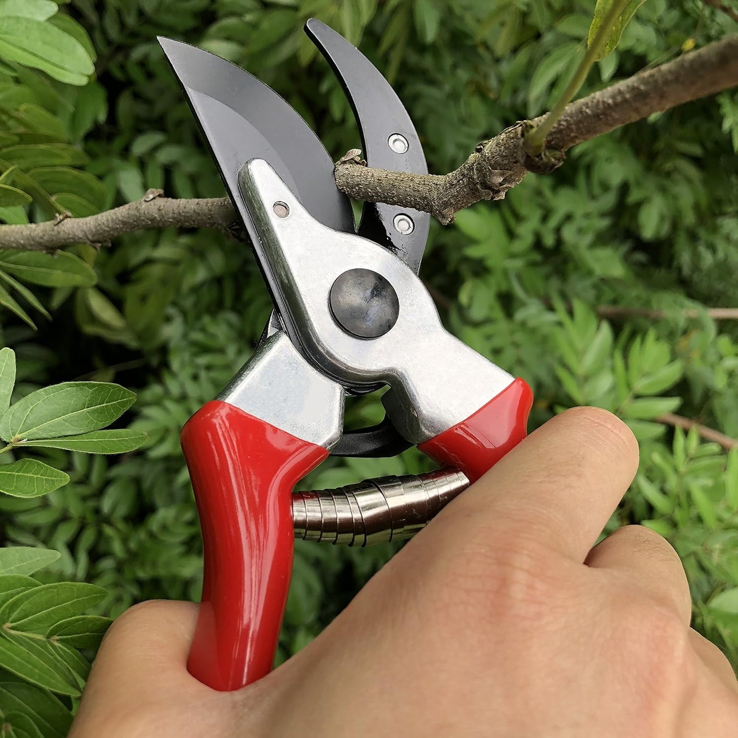 gonicc 8" Professional Sharp Bypass Pruning Shears (GPPS-1002), Tree Trimmers Secateurs,Hand Pruner, Garden Shears,Clippers for The Garden.