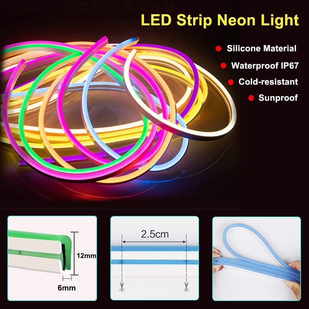 EverBright Led Neon Strip Lights 12V Rope Indoor Outdoor 16.4Ft 600SMD White Silicone Waterproof Flexible for Signboard Bar Home Kitchen Bedroom Party Holiday Decoration (No Power Adapter)