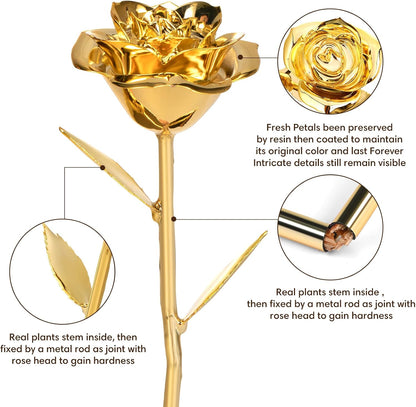 Real 24K Gold Dipped Rose, Handmade Preserved Rose Gift in Elegant Box, Long-Lasting Luxury Flower Decor for Birthday Anniversary and Special Occasions - PuriLite