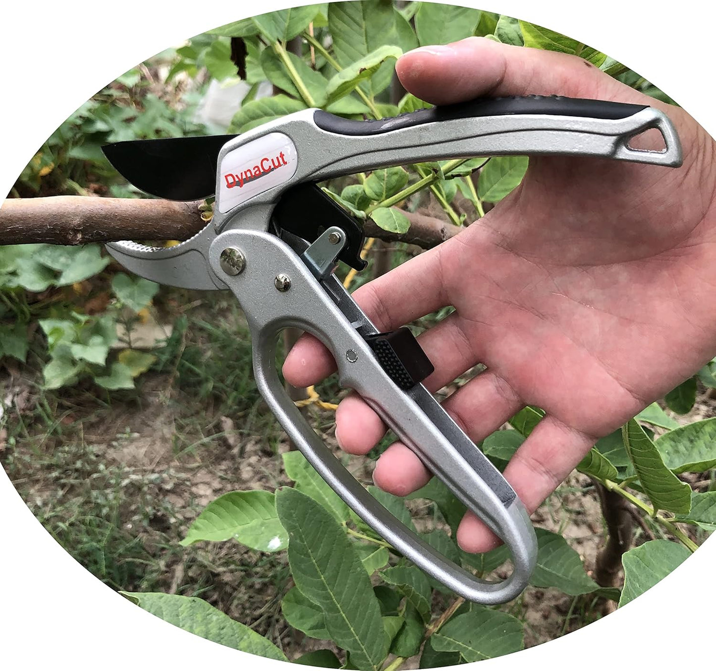 Gardening Ratchet Pruning Shears 8'', Professional Anvil Pruning Scissors Cutter Clippers - DynaCut Heavy Duty Tree Trimmers Up To 20mm Cutting Capacity, Soft Non-Slip Grip Reduce Hand Fatigue