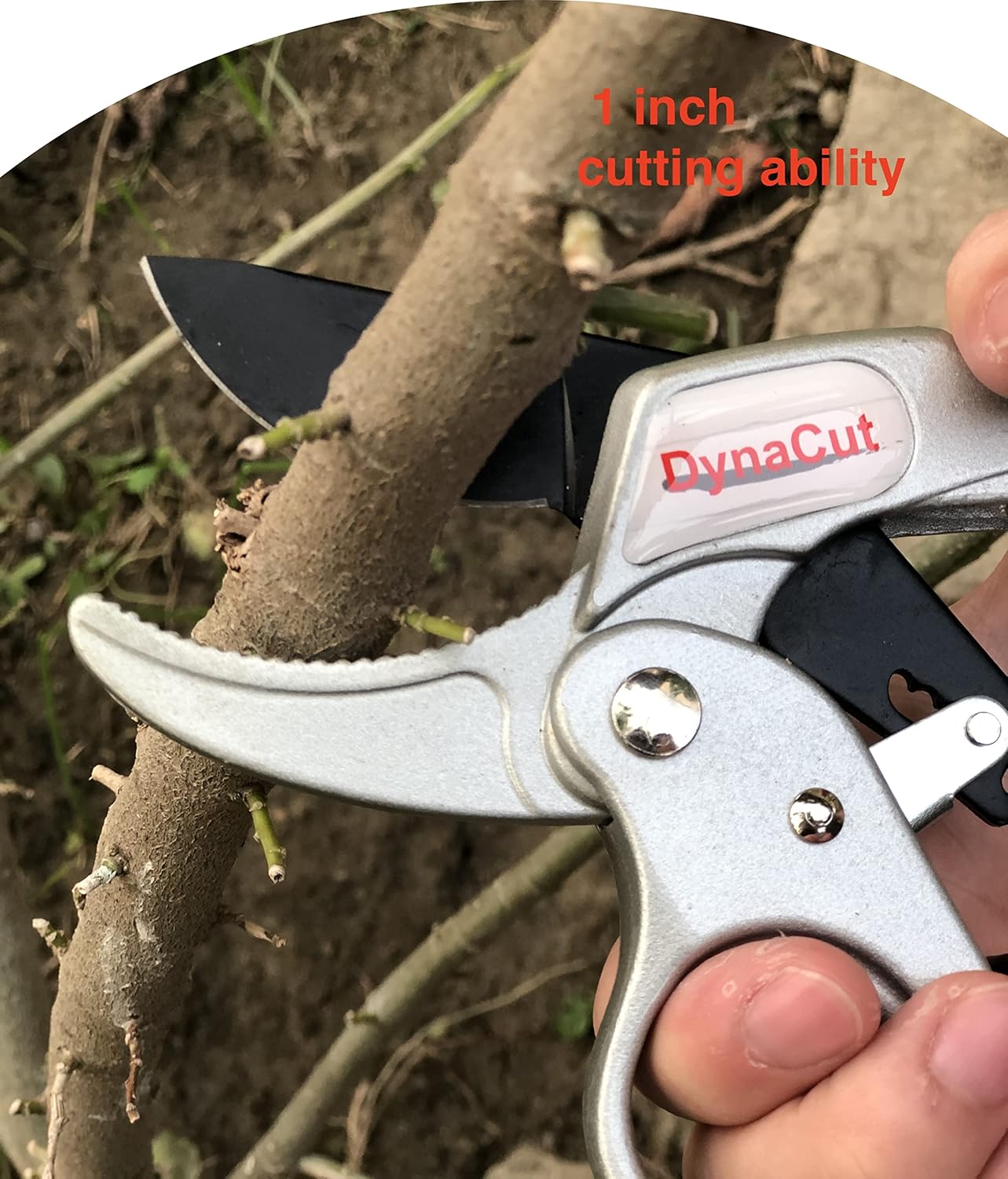 Gardening Ratchet Pruning Shears 8'', Professional Anvil Pruning Scissors Cutter Clippers - DynaCut Heavy Duty Tree Trimmers Up To 20mm Cutting Capacity, Soft Non-Slip Grip Reduce Hand Fatigue