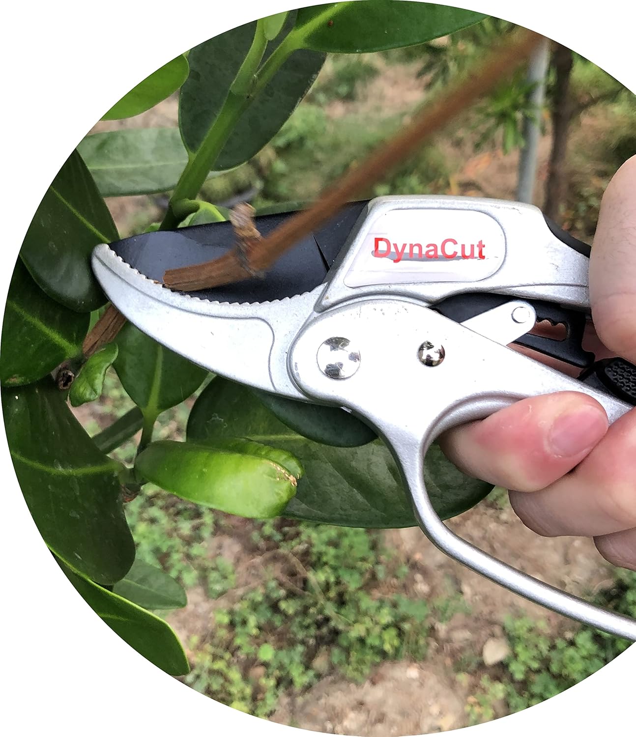 Gardening Ratchet Pruning Shears 8'', Professional Anvil Pruning Scissors Cutter Clippers - DynaCut Heavy Duty Tree Trimmers Up To 20mm Cutting Capacity, Soft Non-Slip Grip Reduce Hand Fatigue