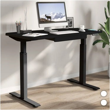 Motionwise 121.9 cm × 61 cm (48 in. × 24 in.) Height Adjustable Standing Desk