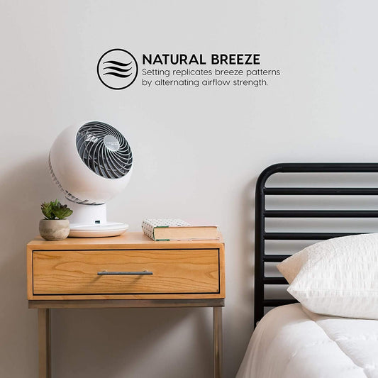 Woozoo 5-Speed Globe Fan 5 Year Warranty 1 Count - PuriLite