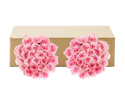 Roses, 48 Stems - Pink - PuriLite