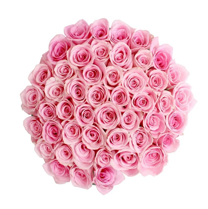 Roses, 48 Stems - Pink - PuriLite