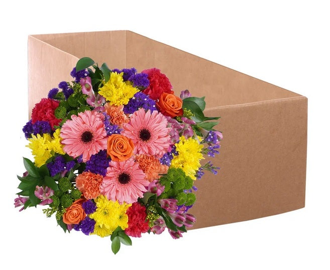 Carnival Bouquet with Vase - PuriLite