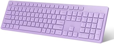 LeadsaiL Wireless Keyboard | Ergonomic Keyboard | Full-Sized Keyboard | Noiseless Keyboard | 2.4GHz Wireless Keyboard | USB Keyboard - PuriLite