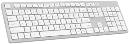 LeadsaiL Wireless Keyboard | Ergonomic Keyboard | Full-Sized Keyboard | Noiseless Keyboard | 2.4GHz Wireless Keyboard | USB Keyboard - PuriLite
